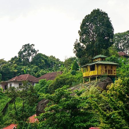 Oyo 10262 Hotel Munnar Rock ภายนอก รูปภาพ